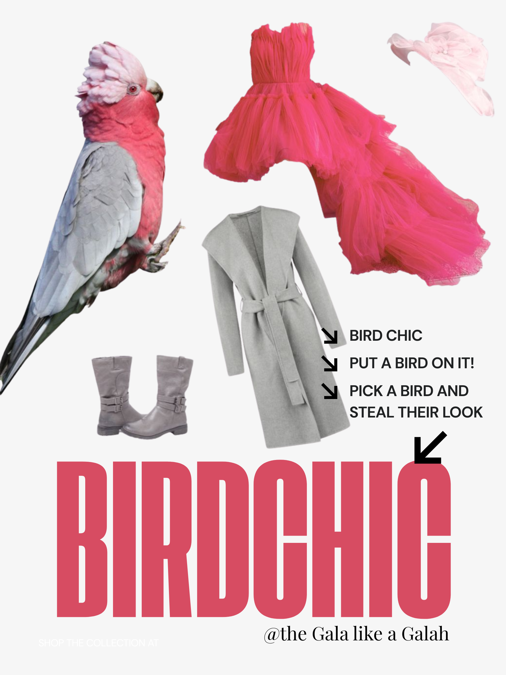 Bird Chic
