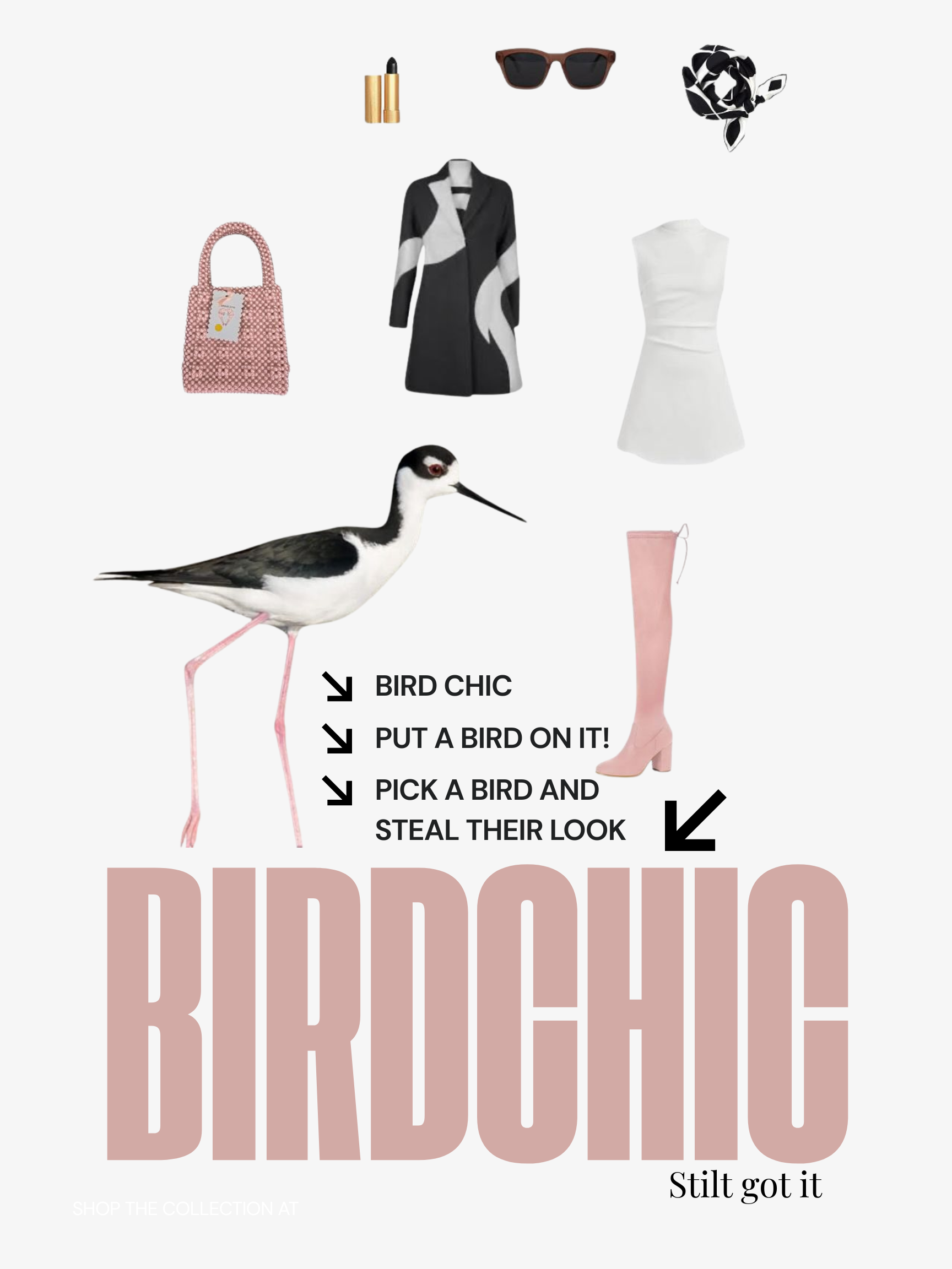 Bird Chic