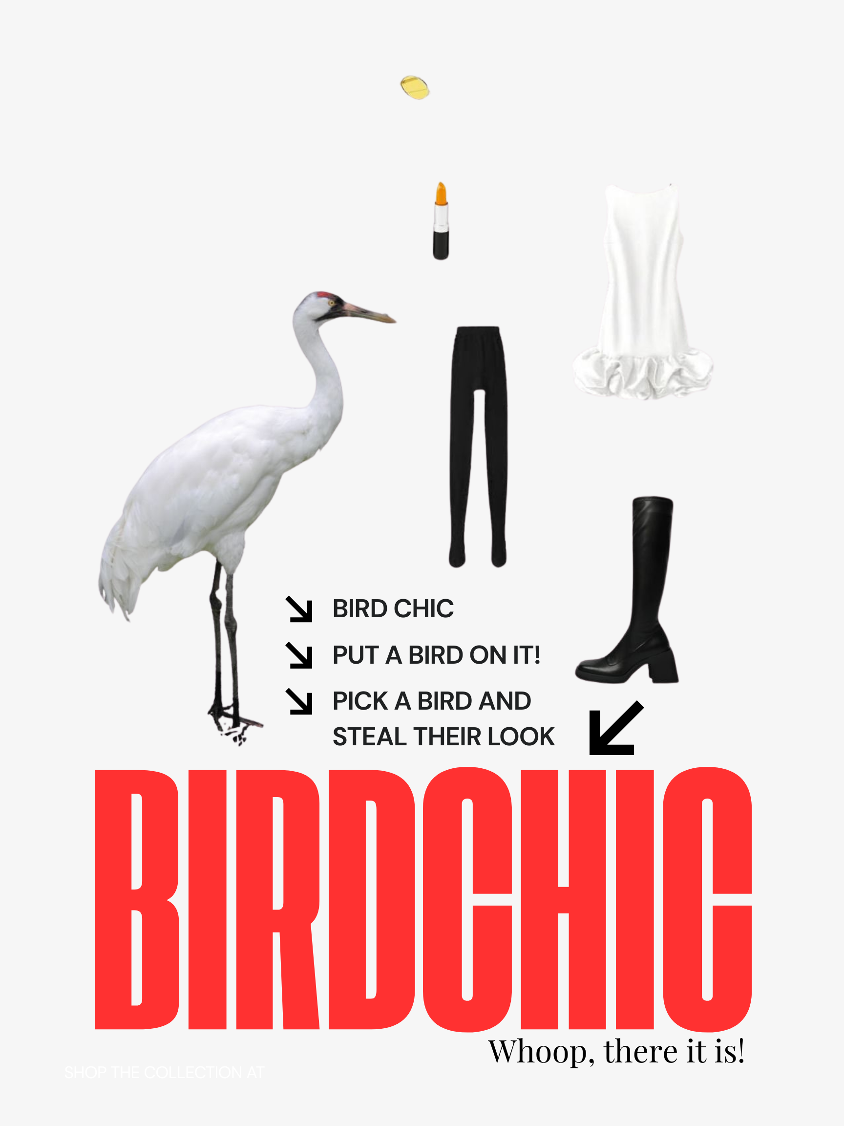 Bird Chic